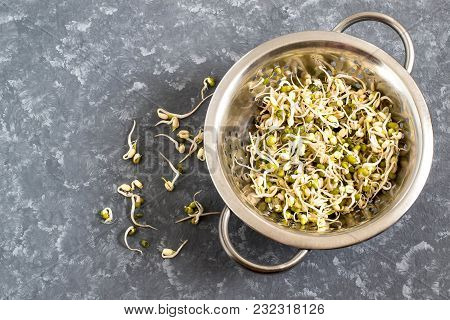 Fresh Mung Bean Sprouts In Colander On Gray Background. Vegetarian Food. High Source Of Protein, Fib