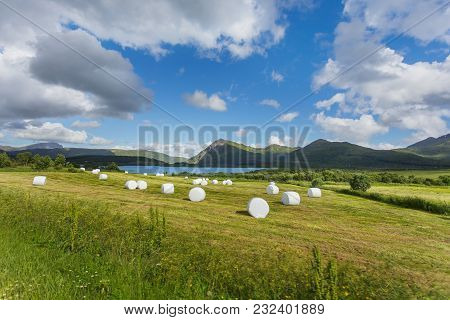 Typical Scandinavian Landscape With Meadows, Mountains And Straw In Special White Plastic Bags. Lofo
