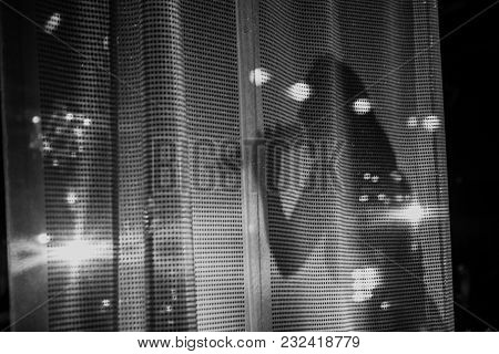 Female Singer Behind A Curtain With A Microphone Sings