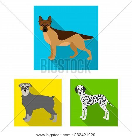 Dog Breeds Flat Icons In Set Collection For Design.dog Pet Vector Symbol Stock  Illustration.
