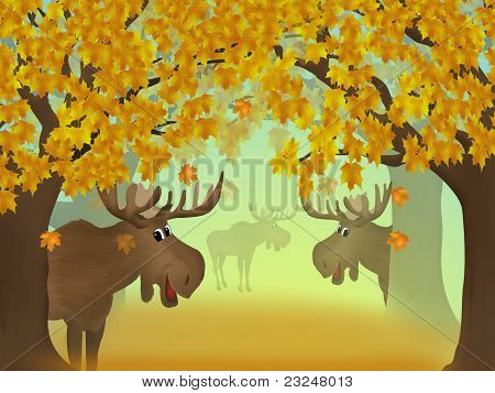 Foresta d'autunno