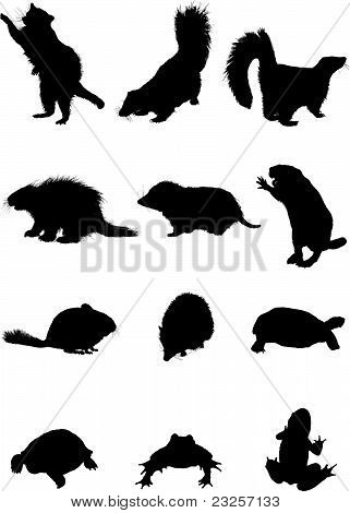animal silhouette