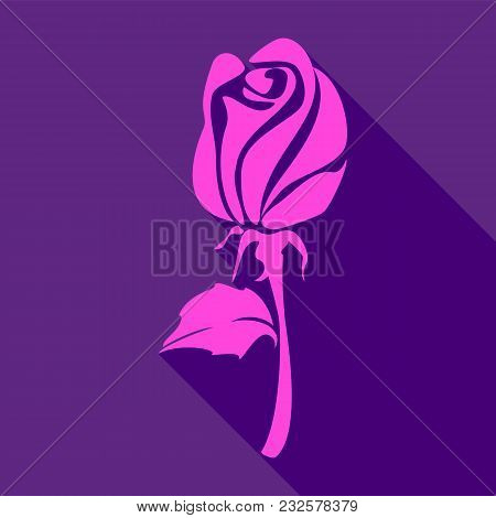 Bright Pink Rose, On A Violet Background, Vector Illustration