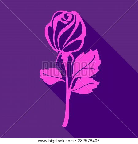 Bright Pink Rose, On A Violet Background, Vector Illustration
