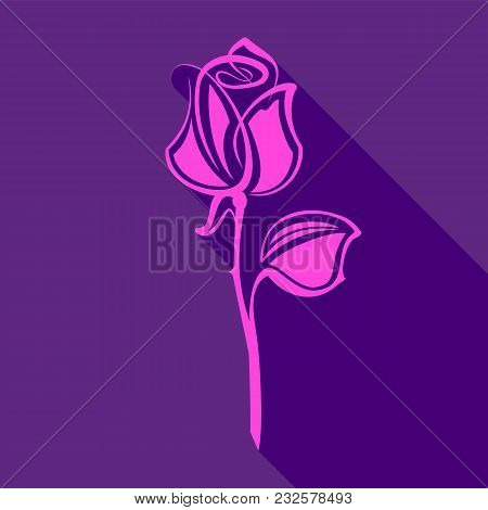 Bright Pink Rose, On A Violet Background, Vector Illustration