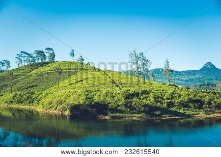 Beautiful Landscape Of Sri Lanka. River, Mountains And Tea Plantations