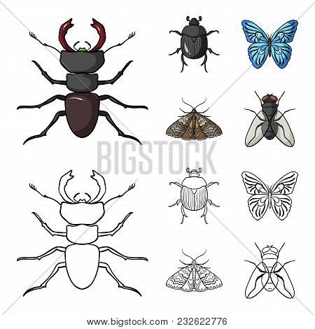 Wrecker, Parasite, Nature, Butterfly .insects Set Collection Icons In Cartoon, Outline Style Vector 