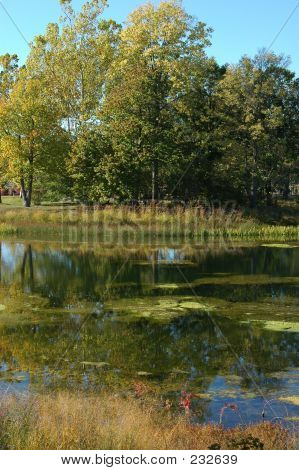 Reflections2