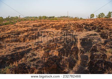 View Of Earth Road Going Through Yellow Hills In Desert In Autumn Time. Mountain Landscape. Dry Yell