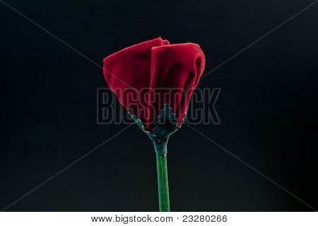 Samt rote Rose In dunklem Hintergrund