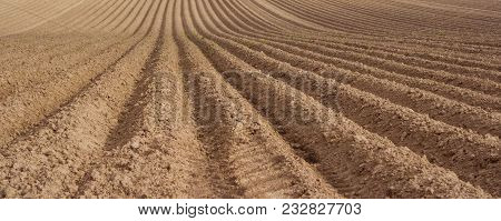 Earth Rows Ready Seeding. Cultivated Seeding Field Ready For Cultivation.