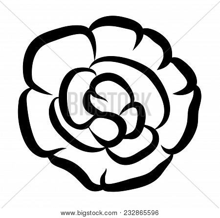 Vector Illustration, Terry Impatiens Flower In Black And White Colors