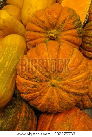 Colorful Orange Flat Autumn Pumpkins On The Box In Garden