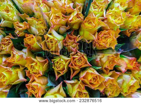 Street Flower Market. Bunches Of Bouquets Of Yellow Roses For Sale