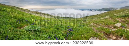 Beautiful Summer Panorama Of The Top Of The Altai Krai Mountains.