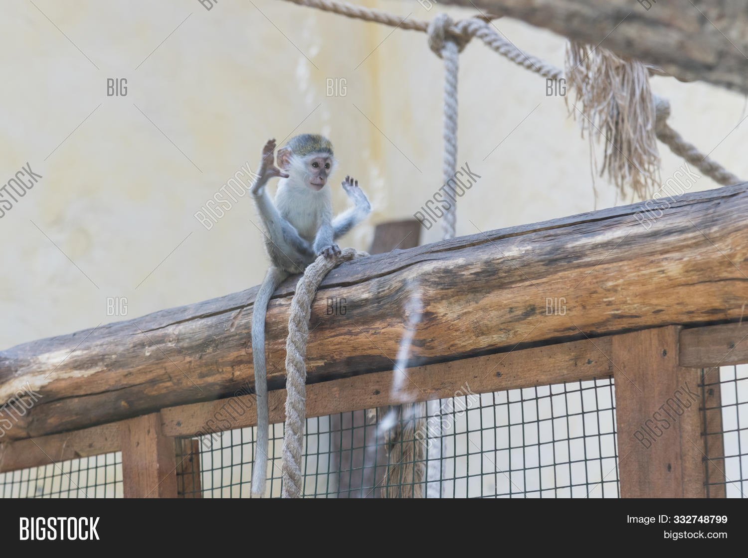 Adorable Face Baby Image Photo Free Trial Bigstock