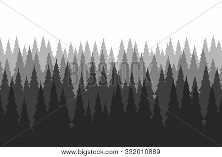 Pine Forest In Winter. Nature Landscape Vector Background.