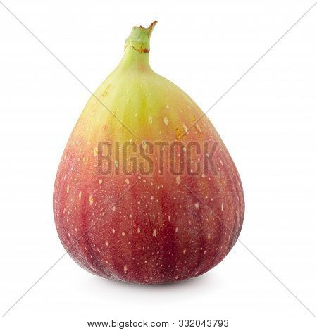 Fresh Figs, Sweed Figs Isolated On White Background