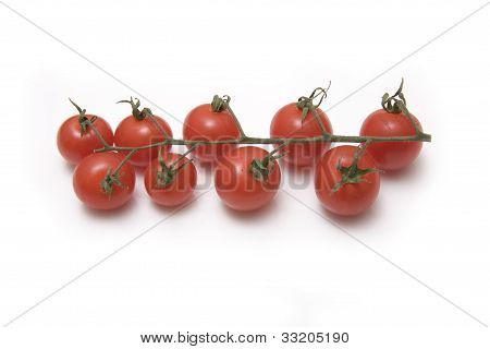 Di pomodoro vite