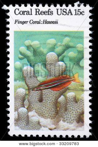 USA ca. 1980: eine Briefmarke gedruckt in den Usa zeigt Korallenriffe, Finger-Koralle, Hawaii, circa 1980