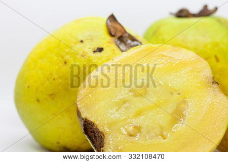 Fruit Of The Psidium Friedrichsthalianum Called Guayaba Agria Or Guayaba Coronilla