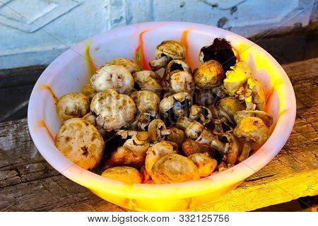 Porcini Mushrooms In A Bowl On A Bench A Bench On The Street A View From The Top From The Side Somet