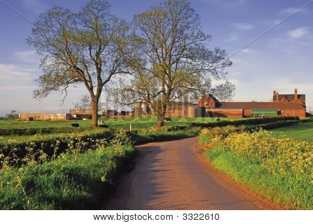 Country Road