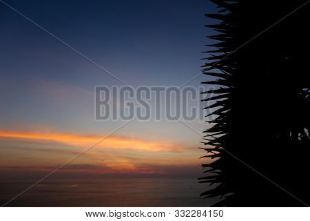 Wonderful Sea Landscape And Palms Leaves Silhouette On Sunset Background.