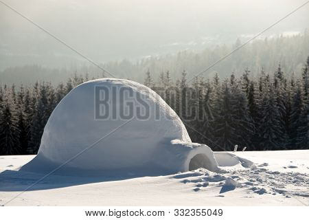 Real snow igloo house in the winter Carpathian mountains. Snow-covered firs on the background