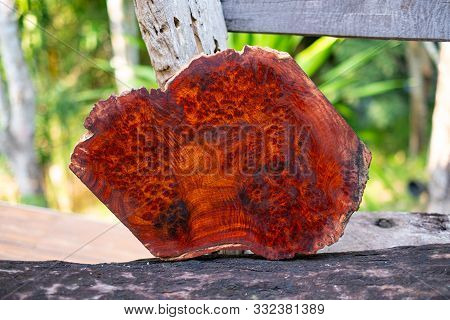 Logs Amboyna Burl Wood Striped Exotic Wooden Beautiful Pattern For Crafts Art Or Background