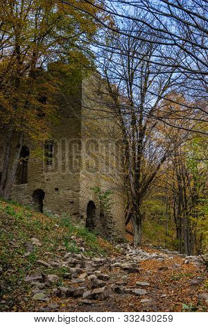 Georgian Autumnal Landscape