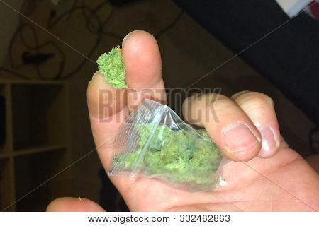 A Bag Of Marijuana In The Hands Of A Rastaman Man. Dose Of Marijuana Soft Drug, Compressed Leaves An