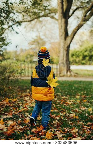Cute Adorable Little Toddler Boy Child In Jacket And Hat Walking Away In Autumn Fall Park With Yello