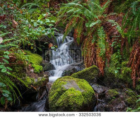 Majestic waterfall in Nakusp, Vancouver, Canada.