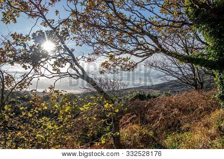 Autumn Trees Next To The River Glen And Waterfalls By Carrick In County Donegal - Ireland