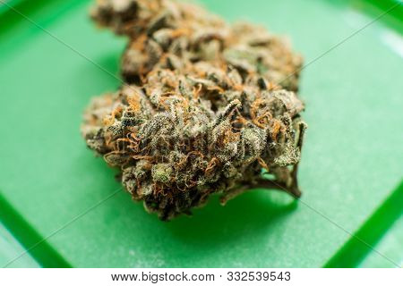 Indica Vs. Sativa: What’s The Difference Between Cannabis Types