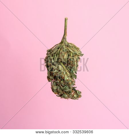 Explore Cannabis Strains With A New Perspective. Cannabinoid And Terpene Profile, Terpenes In Indica