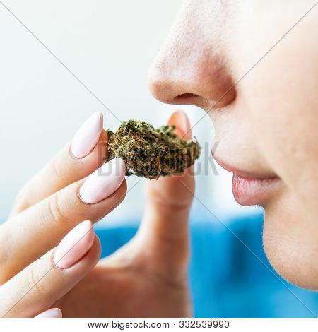 Explore Cannabis Strains With A New Perspective. Cannabinoid And Terpene Profile, Terpenes In Indica