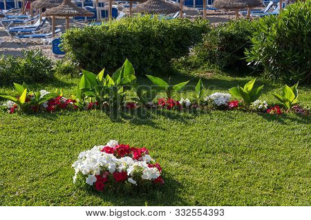 Lush Flowerbeds In The Summer Garden. A Bright Sunny Day. In The Background The Sea.