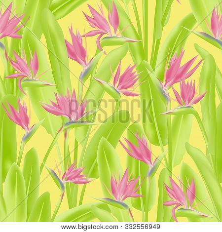 Strelitzia Reginae Tropical Flower Vector Seamless Pattern. Jungle Exotic Tropical Plant Fabric Desi