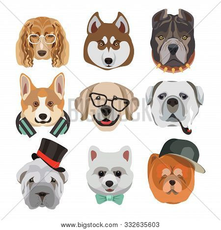 Dog Heads Or Faces With Eyeglasses And Hats Or Smoking Pipe