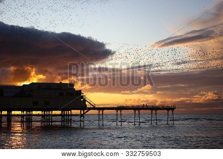 A Murmuration Of Starlings Flocking Together Above Aberystwyth Pier At Sunset