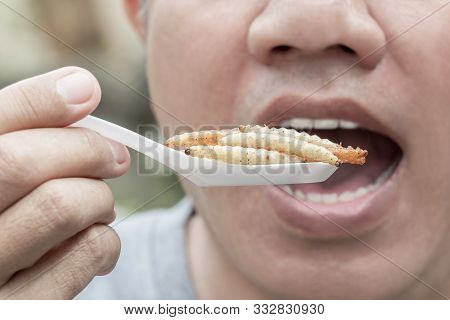 Food Insect: Man Hand Holding Spoon Eating Bamboo Worm Insect Or Bamboo Caterpillar Deep-fried As Fo