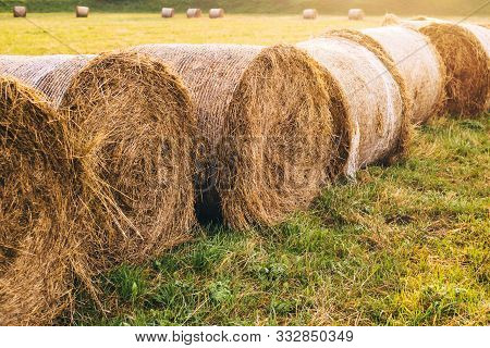 Haystack Harvest Field Landscape. Haystack Agriculture Field Landscape. Agriculture Field Haystacks.