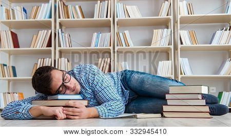 Young student studying with books