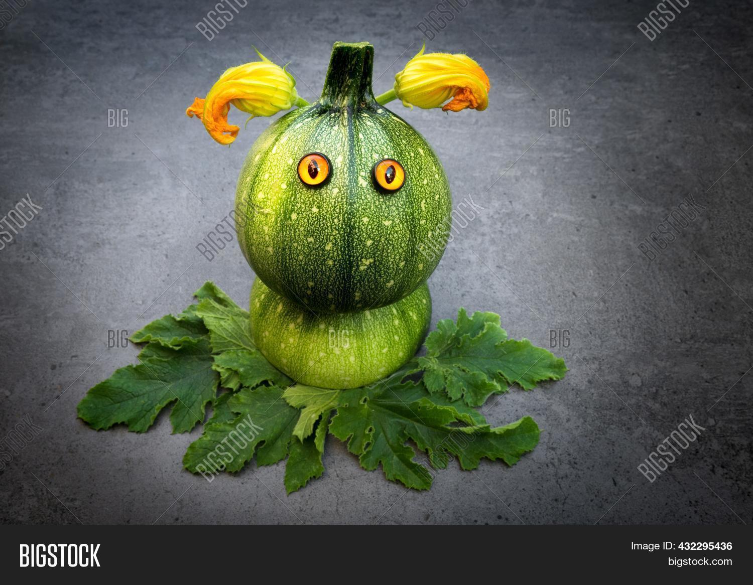 Funny Round Zucchini Image & Photo (Free Trial) Bigstock