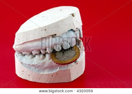 Jaw Holds Coin On Red