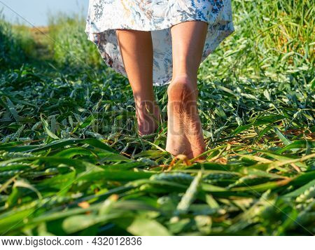 Close Up Of The Bare Feet Of A Girl Dressed In A Dress Who Is Walking On The Grass In The Evening.