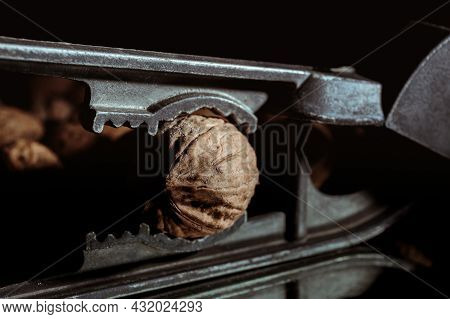 Walnut In A Nutcracker Close-up. Dark Background. Beautiful Background With Food. Healthy Ingredient
