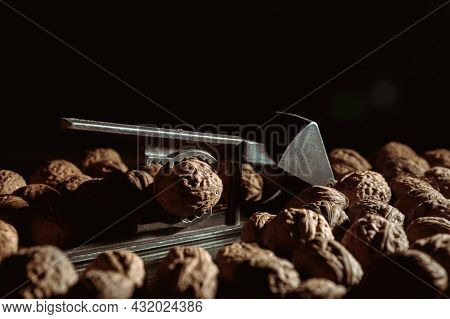 Walnut In A Nutcracker Close-up. Dark Background. Beautiful Background With Food. Healthy Ingredient